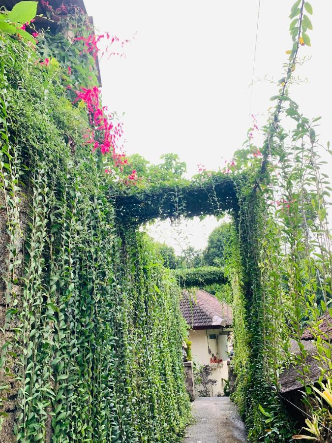 Gek House Ubud  Luaran gambar