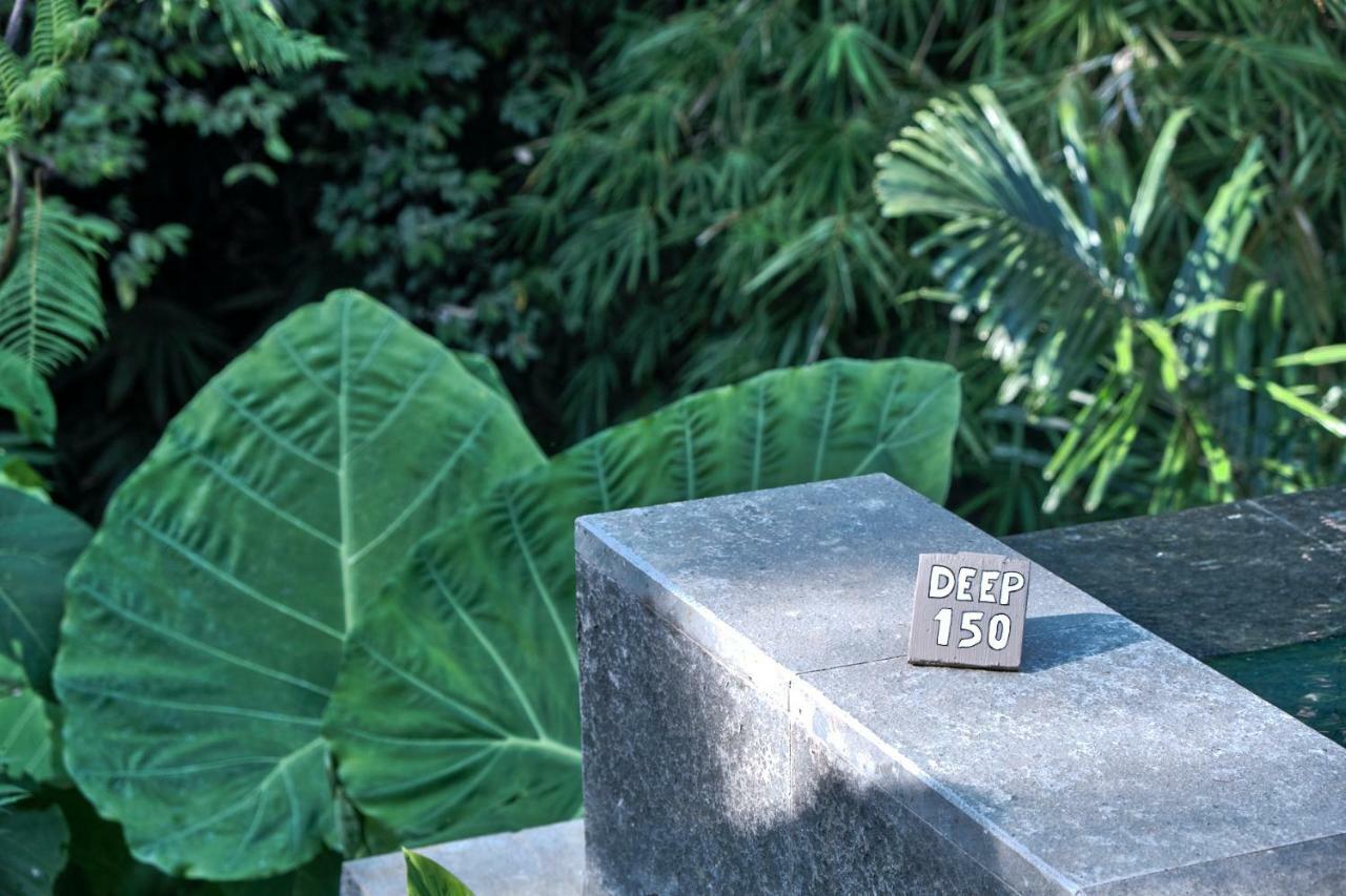 Gek House Ubud  Luaran gambar