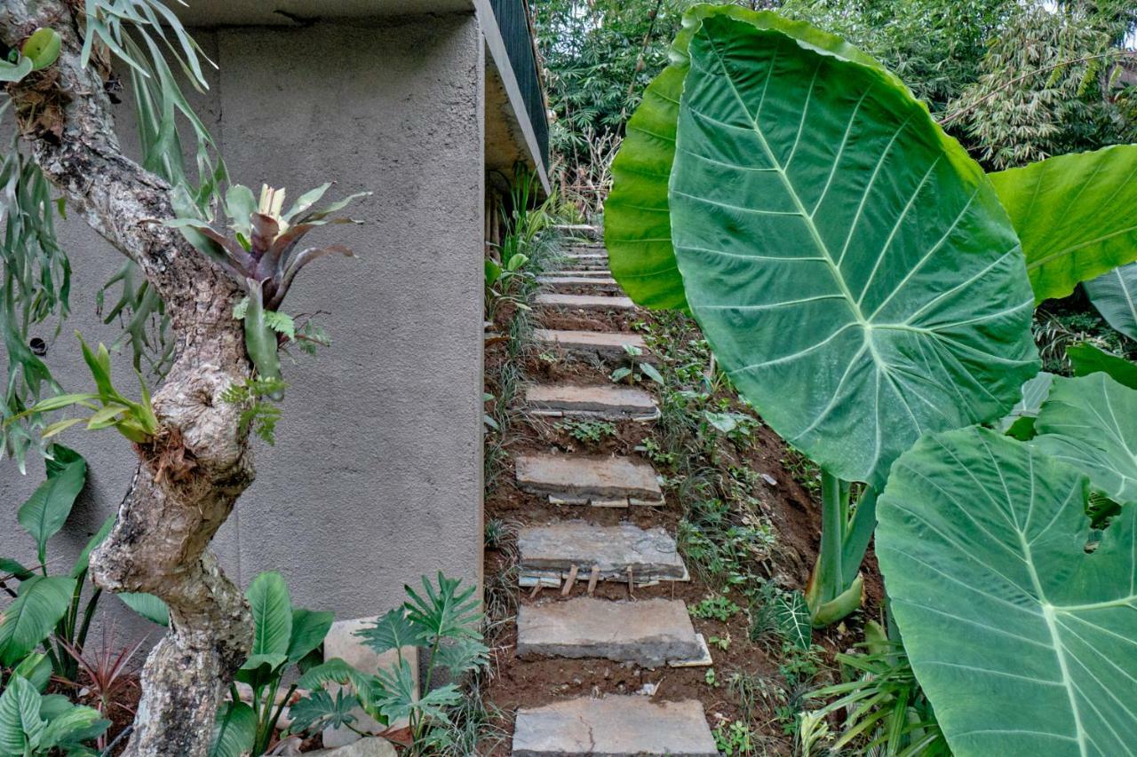 Gek House Ubud  Luaran gambar